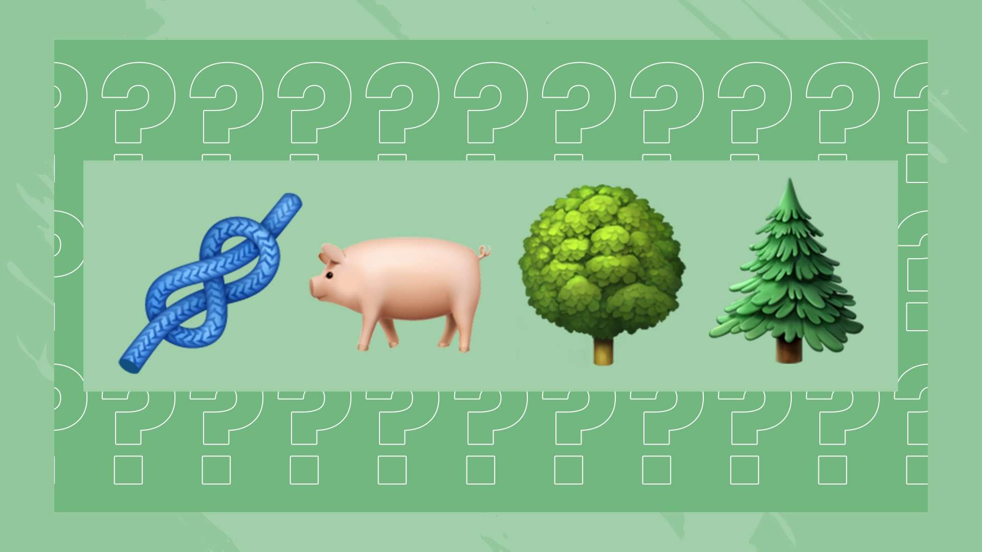 会否出战洛杉矶奥运会？倪夏莲：若有机会，何乐不为.