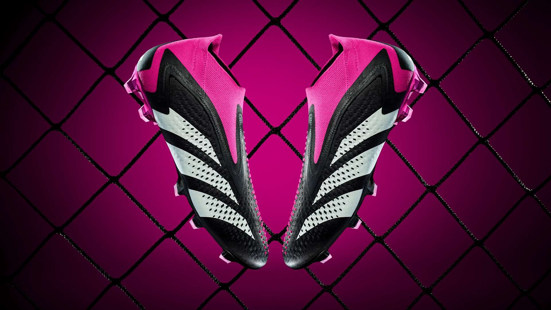 精确的球员 精确的球员